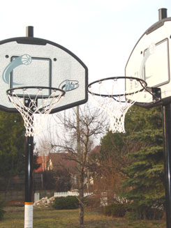 Basketball Verleih f&uuml;r Ihren Event - Klicken Sie hier nicht sondern warten sie bis die Seite sich neu l&auml;dt